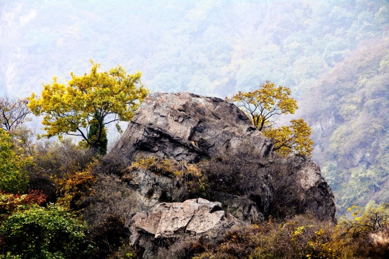 記者攝影家走進房山金祖山風景區(qū)釆風