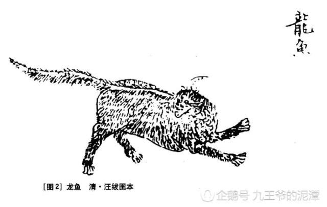 《山海經(jīng)》古人如何看有龍字的動(dòng)物呢？奇獸龍魚(yú)
