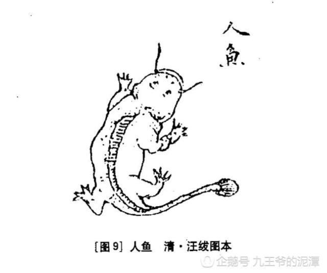 《山海經(jīng)》古人如何看有龍字的動(dòng)物呢？奇獸龍魚(yú)