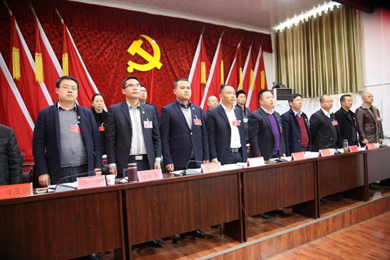 中國共產(chǎn)黨風華鎮(zhèn)第七屆二次會議勝利召開