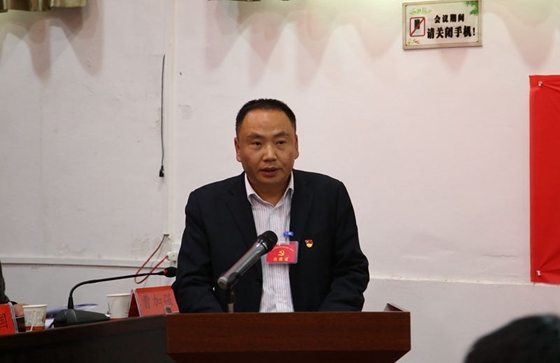 中國共產(chǎn)黨風華鎮(zhèn)第七屆二次會議勝利召開