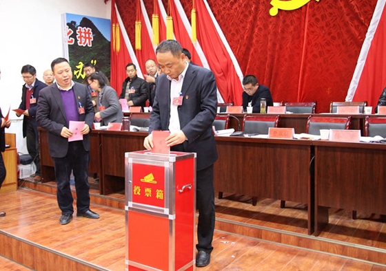 中國共產(chǎn)黨風華鎮(zhèn)第七屆二次會議勝利召開