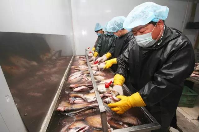 蘇橋靳記熏魚：煙風味道 滿城飄香