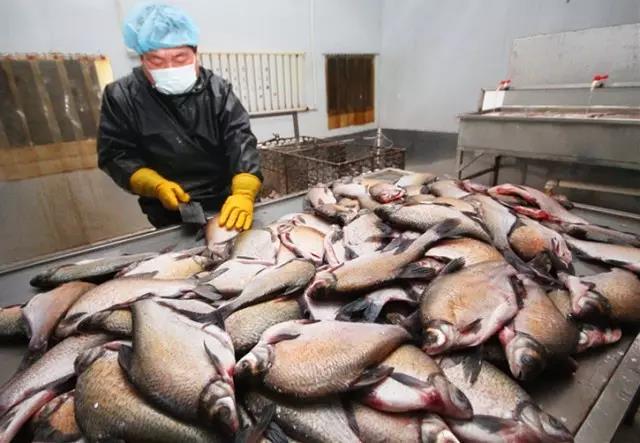 蘇橋靳記熏魚：煙風味道 滿城飄香