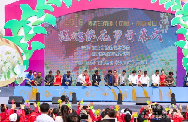 以槐為媒——遇見美麗孤島