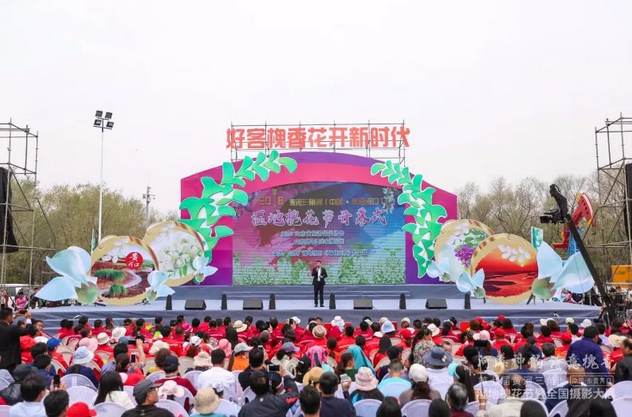 走進“孤島”系列報道之以槐為媒，大報大刊共赴“孤島”共話文化興鎮(zhèn)