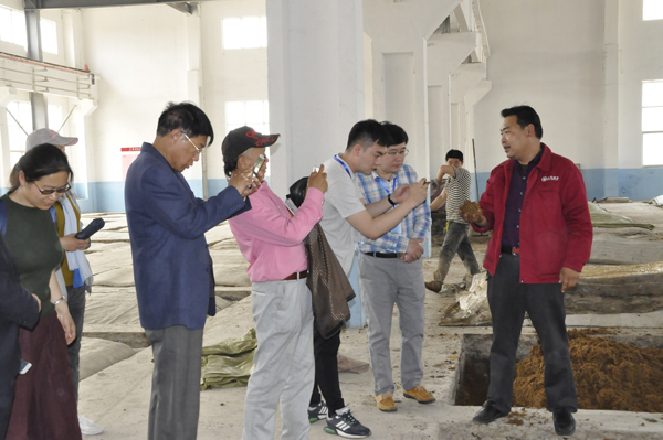 走進“孤島”系列報道之以槐為媒，大報大刊共赴“孤島”共話文化興鎮(zhèn)