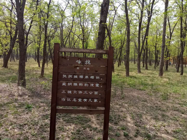 走進“孤島”系列報道之以槐為媒，大報大刊共赴“孤島”共話文化興鎮(zhèn)