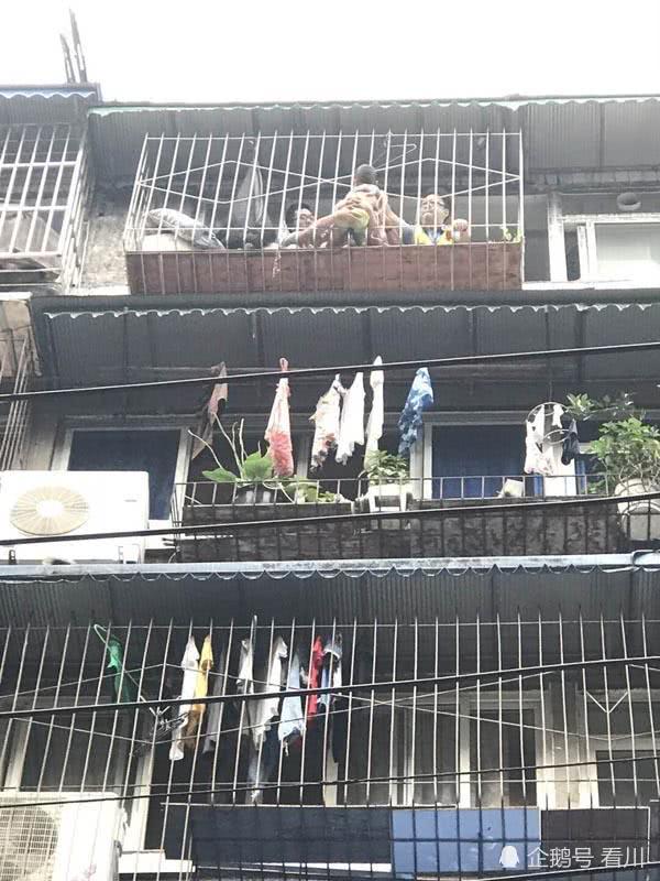 男童從8樓墜落“掛”7樓護(hù)欄外 鄰居將其一把抓住