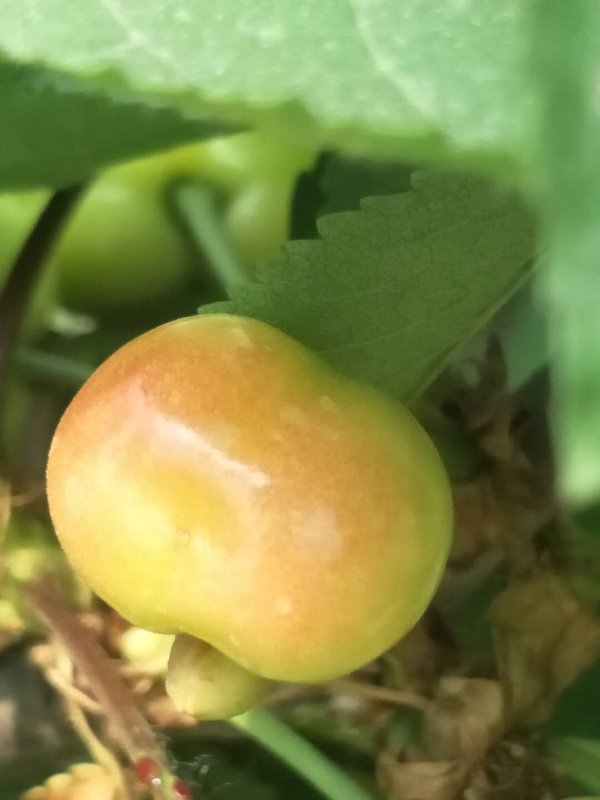 風(fēng)雨暮年圓夢(mèng)人——杰地風(fēng)華創(chuàng)始人靳宗祥