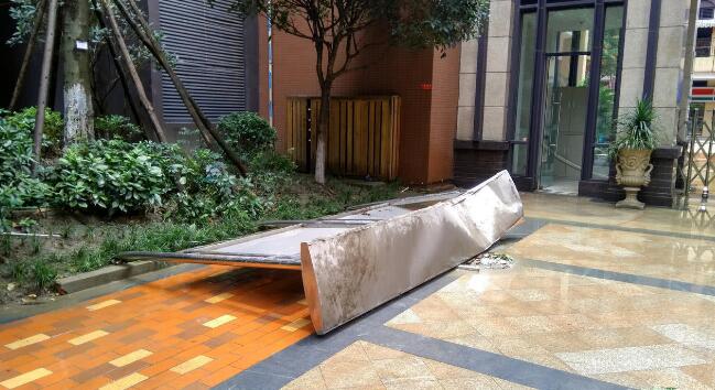 成都大風(fēng)暴雨 男子被大樹砸成顱內(nèi)出血