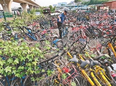 大興三千被暫扣共享單車(chē)無(wú)人認(rèn)領(lǐng) 有的車(chē)輛已經(jīng)被植物纏繞
