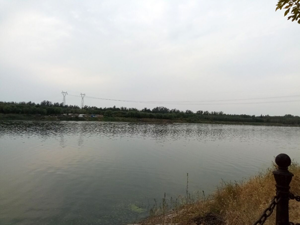 李月手機(jī)拍圖——不覺秋深