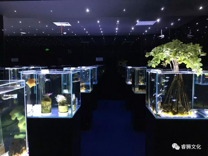 邯鄲海洋世界·開啟神秘海洋王國(guó)——9.28邯鄲海洋世界試營(yíng)業(yè)
