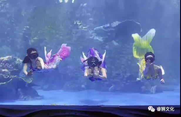 邯鄲海洋世界·開啟神秘海洋王國(guó)——9.28邯鄲海洋世界試營(yíng)業(yè)