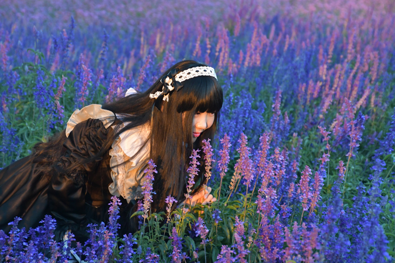 花美燈美人更美——金秋時節(jié)紫谷伊旬園