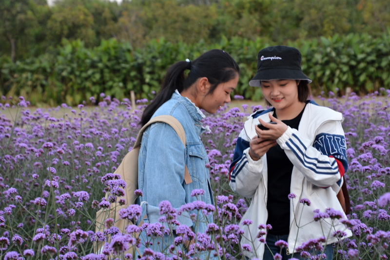 花美燈美人更美——金秋時節(jié)紫谷伊旬園