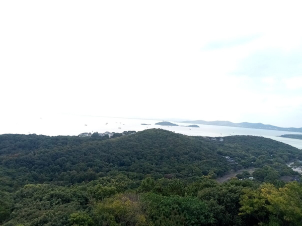 無錫印象——詩情畫意 燈影桂香