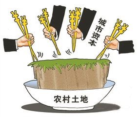 社會(huì)資本下鄉(xiāng)，建企業(yè)還是建村莊？