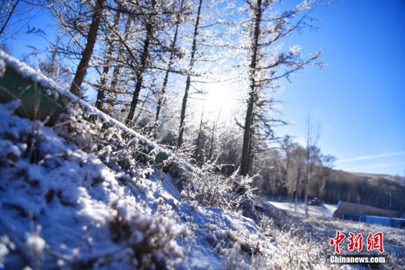 甘肅肅南雪后藍天輝映雪地冰花