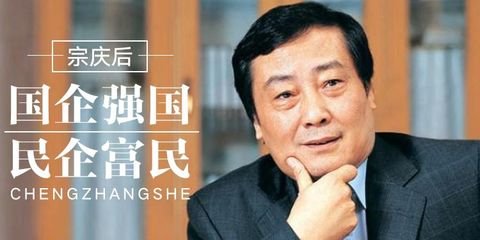 國企用來強(qiáng)國 民企用來富民