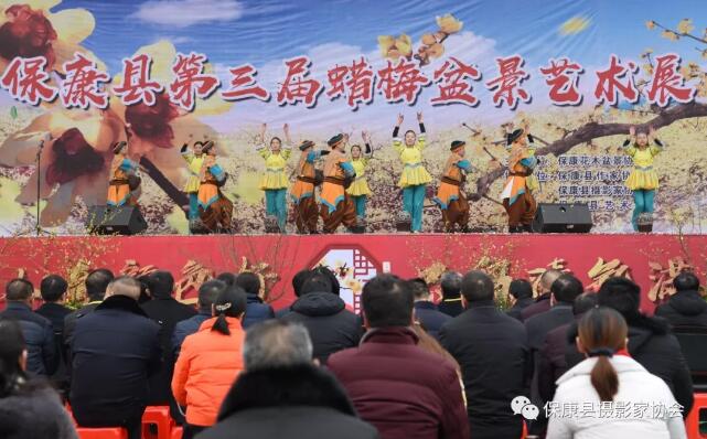 保康第三屆蠟梅盆景藝術暨攝影展開幕