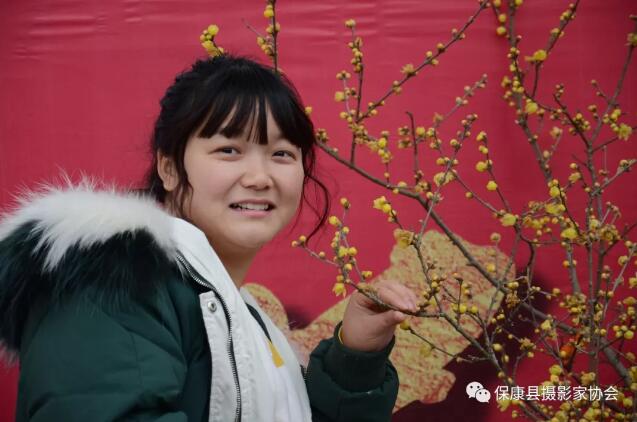 保康第三屆蠟梅盆景藝術暨攝影展開幕