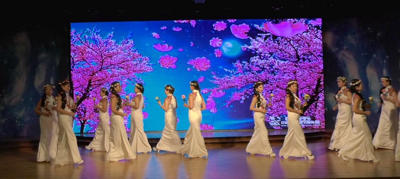 2019首屆社會(huì)責(zé)任春節(jié)晚會(huì)在西釣魚(yú)臺(tái)舉辦