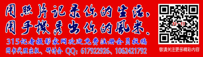 光影與花完美結(jié)合 無(wú)錫太湖黿頭渚夜櫻美如畫(huà)
