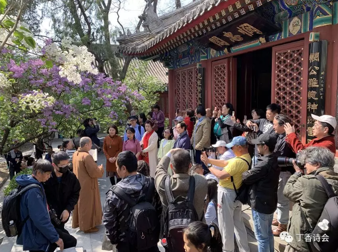 己亥法源寺丁香詩(shī)會(huì)——我在等風(fēng)，也等你！
