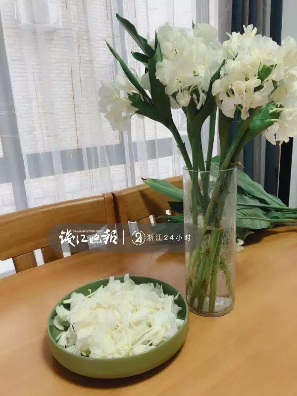 羨慕！他為妻子打造500多種植物花園，只為結(jié)婚時一個許諾！