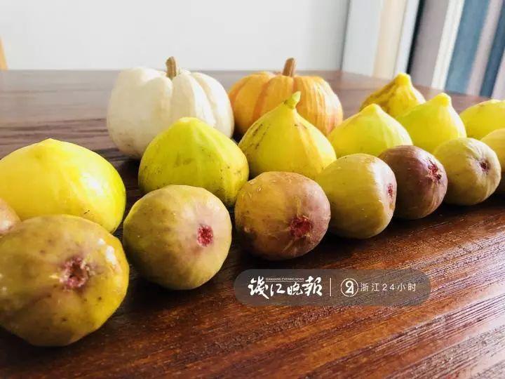 羨慕！他為妻子打造500多種植物花園，只為結(jié)婚時一個許諾！