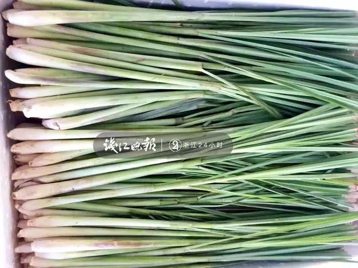 羨慕！他為妻子打造500多種植物花園，只為結(jié)婚時一個許諾！