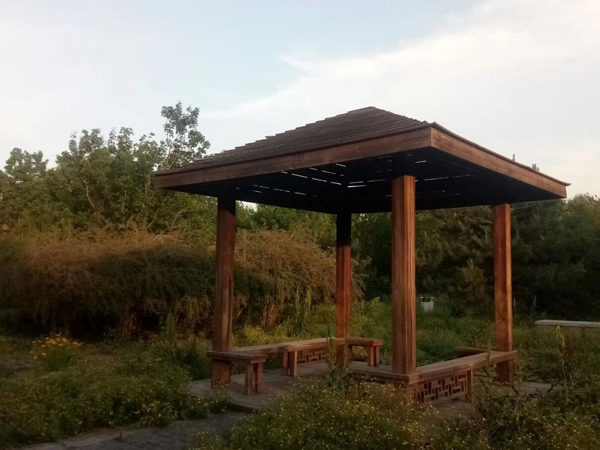 李月手機(jī)拍圖——潮白暮色/夏日時(shí)光