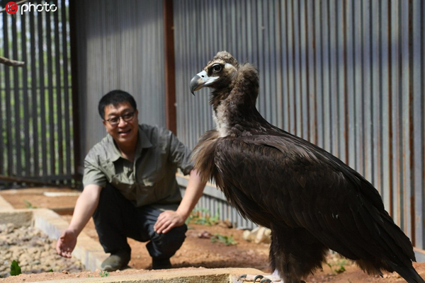 “小動物的單身爸爸”19年救萬只動物