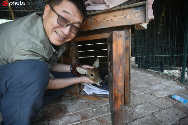 “小動物的單身爸爸”19年救萬只動物