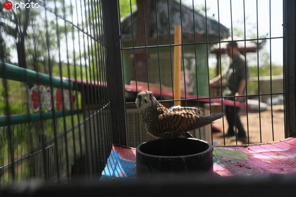 “小動物的單身爸爸”19年救萬只動物