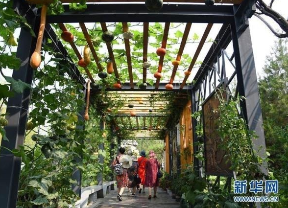 北京世園會(huì)迎來(lái)“山東日”