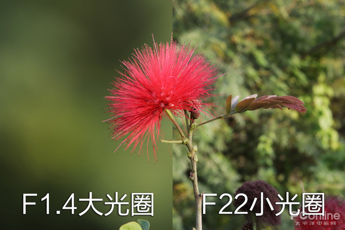 初入單反不會(huì)調(diào)參數(shù)？3分鐘學(xué)會(huì)曝光三要素