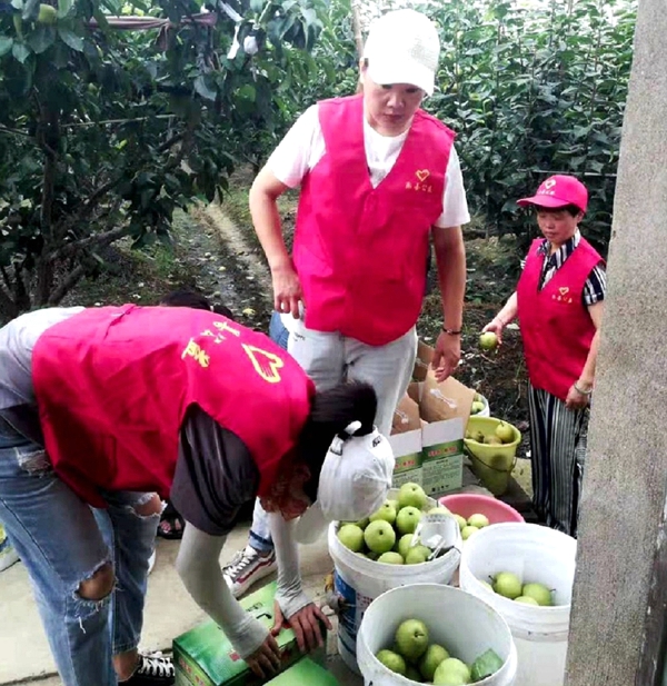 幫扶受傷果農(nóng)渡難關(guān) 眾善志愿者們在行動