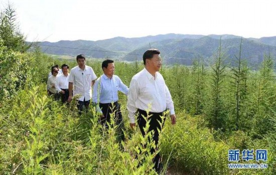 習近平叮囑這件事：決不能有停一停歇一歇的想法