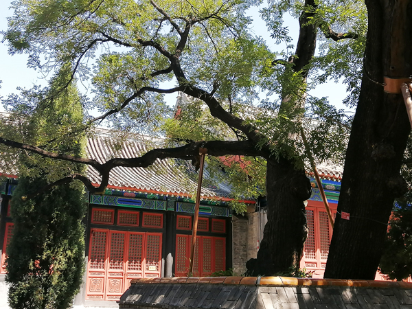 初秋艷陽(yáng)下的國(guó)子監(jiān)與孔廟