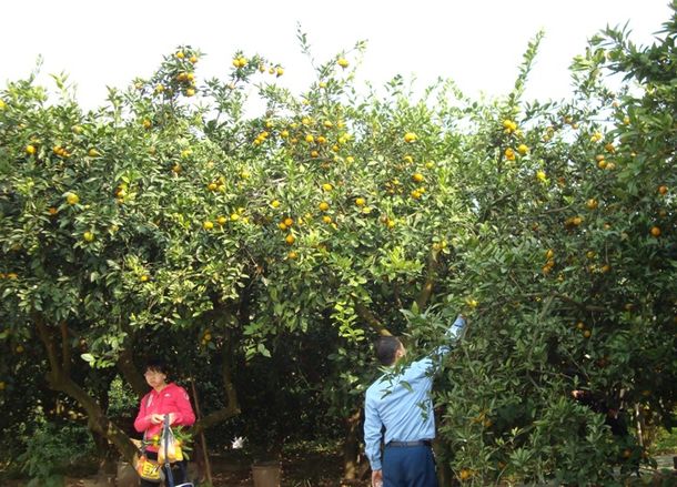 安徽太湖縣春草愛心聯(lián)盟慈善協(xié)會會員走進(jìn)金夢灣生態(tài)農(nóng)莊