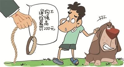 遛狗不拴繩行為很常見 不文明養(yǎng)犬行為怎么管？