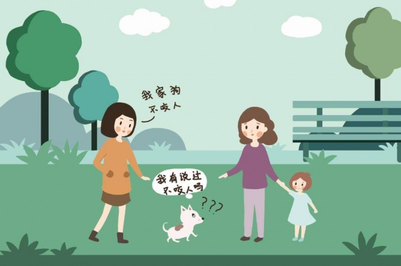 遛狗不拴繩行為很常見 不文明養(yǎng)犬行為怎么管？