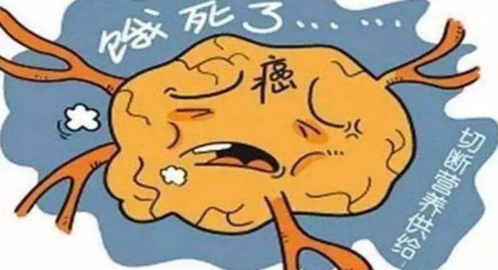 2019 十大“科學(xué)”流言騙了誰(shuí)