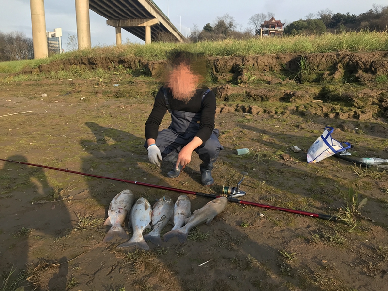 “錨魚”不用餌，實則非法捕撈 長航銅陵公安在疫情防控期間查獲一起非法捕撈水產(chǎn)品案