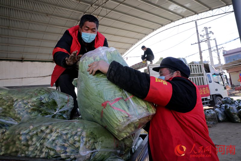 河南魯山：村民有序趕種 自發(fā)捐贈(zèng)蔬菜給戰(zhàn)“疫”一線
