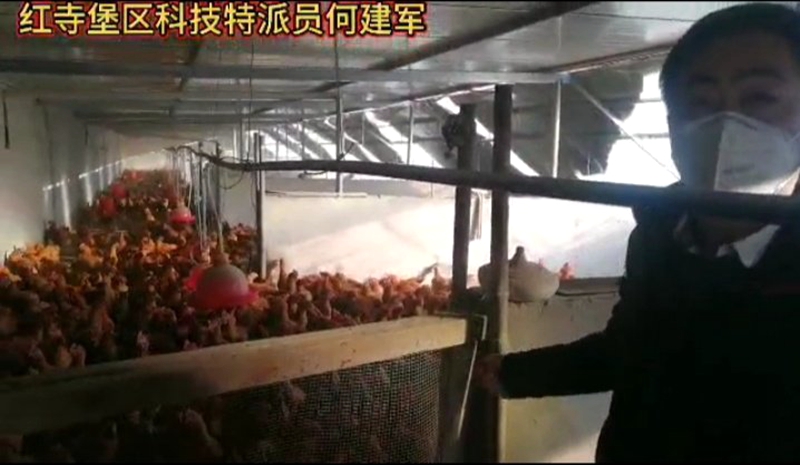 寧夏吳忠市紅寺堡區(qū)打響“?！弊峙品?wù)就業(yè)群眾