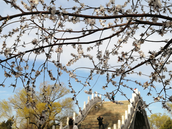 春光爛漫頤和園